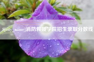 太原消防救援学院招生录取分数线
