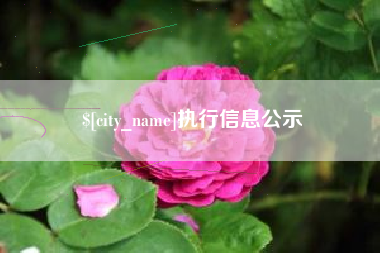 太原执行信息公示