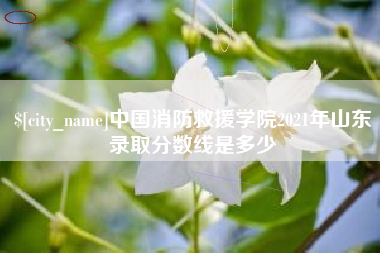太原中国消防救援学院2021年山东录取分数线是多少