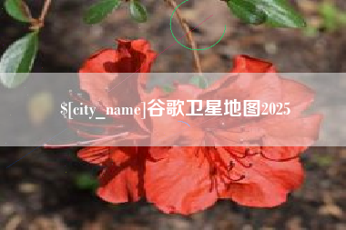 太原谷歌卫星地图2025