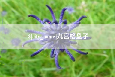 太原九宫格盘子
