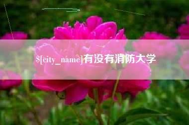 太原有没有消防大学