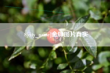 太原金牌图片真实