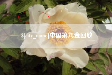 太原中国第九金回放