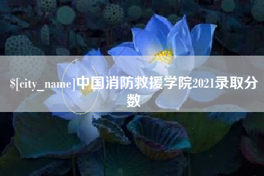 太原中国消防救援学院2021录取分数