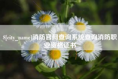 太原消防官网查询系统查询消防职业资格证书