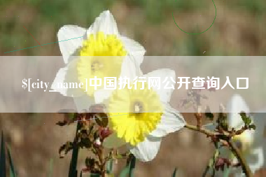 太原中国执行网公开查询入口