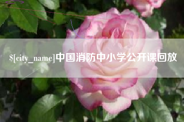太原中国消防中小学公开课回放