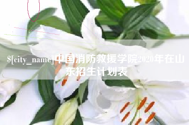 太原中国消防救援学院2020年在山东招生计划表