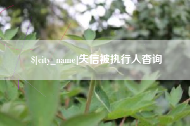 太原失信被执行人杳询