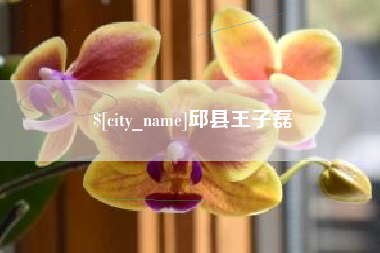 太原邱县王子磊