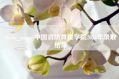 太原中国消防救援学院2020年录取结果