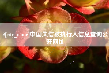 太原中国失信被执行人信息查询公开网址