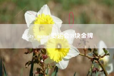 太原奥运会39块金牌