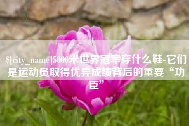 太原5000米世界冠军穿什么鞋-它们是运动员取得优异成绩背后的重要“功臣”