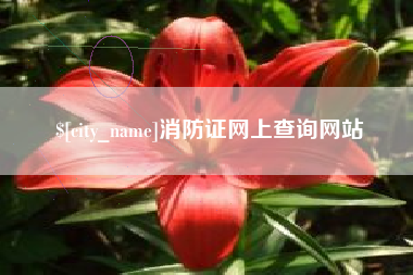 太原消防证网上查询网站