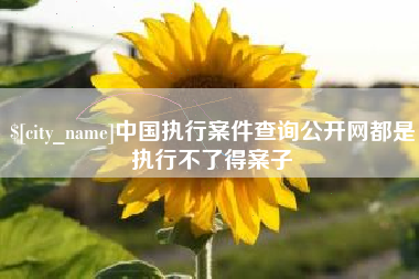 太原中国执行案件查询公开网都是执行不了得案子