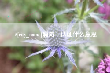 太原消防ccc认证什么意思