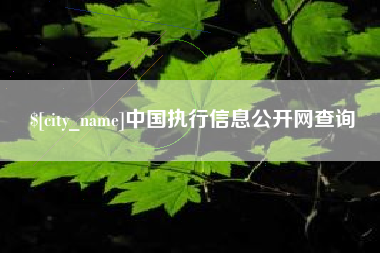 太原中国执行信息公开网查询