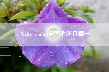 太原全国消防日哪一