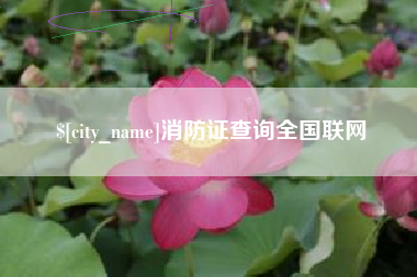 太原消防证查询全国联网