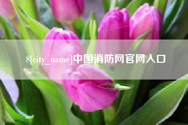 太原中国消防网官网入口
