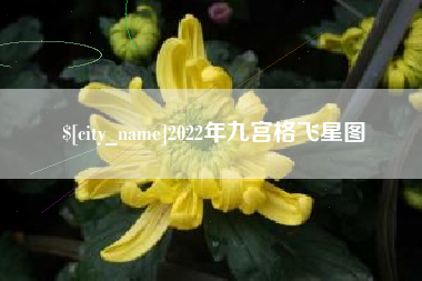 太原2022年九宫格飞星图