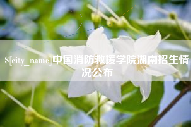 太原中国消防救援学院湖南招生情况公布
