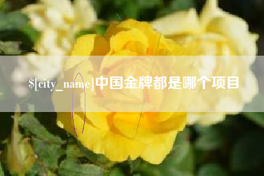 太原中国金牌都是哪个项目