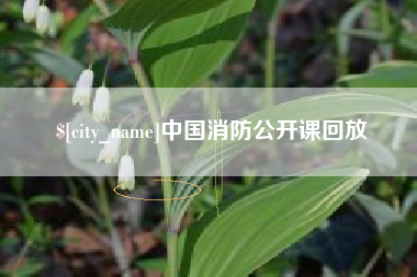 太原中国消防公开课回放