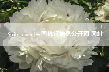 太原中国执行信息公开网 网址