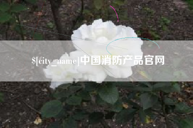 太原中国消防产品官网