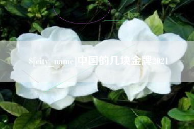 太原中国的几块金牌2021