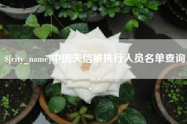 太原中国失信被执行人员名单查询