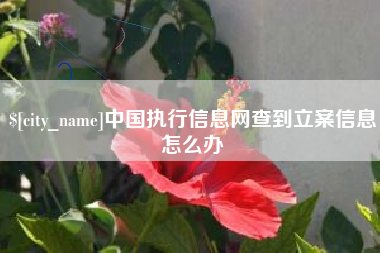 太原中国执行信息网查到立案信息怎么办