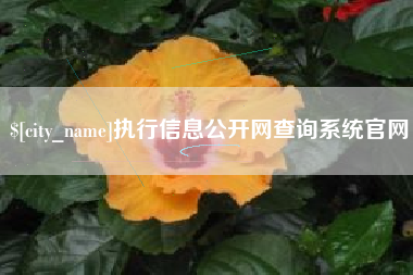 太原执行信息公开网查询系统官网