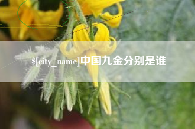 太原中国九金分别是谁