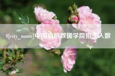 太原中国消防救援学院招生人数