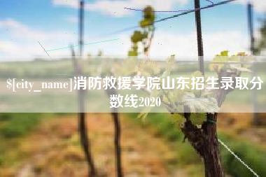太原消防救援学院山东招生录取分数线2020