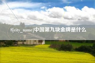 太原中国第九块金牌是什么