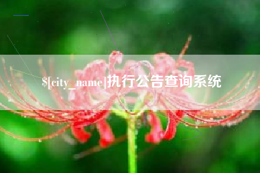 太原执行公告查询系统