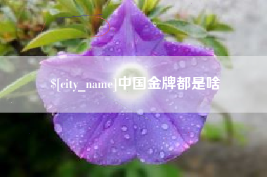 太原中国金牌都是啥
