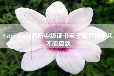 太原消防中级证书电子版查询多久才能查到