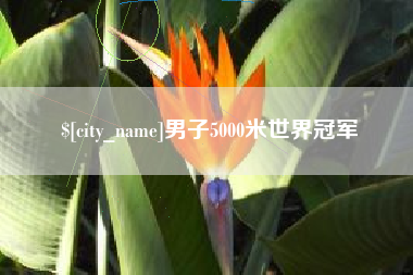 太原男子5000米世界冠军
