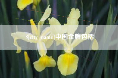 太原中国金牌包括