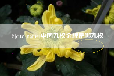 太原中国九枚金牌是哪九枚