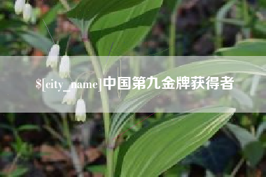 太原中国第九金牌获得者