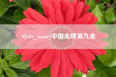 太原中国金牌第九金