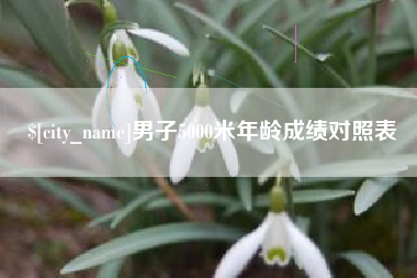 太原男子5000米年龄成绩对照表