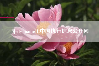 太原1.中国执行信息公开网